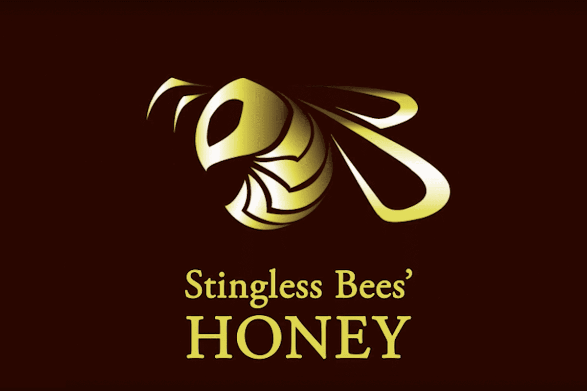 stingless bee ロゴアニメーション